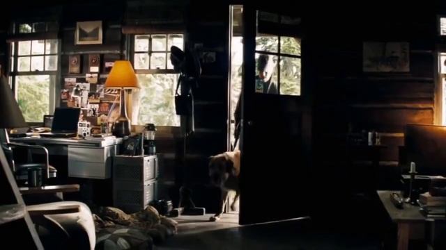 Собака человеку друг