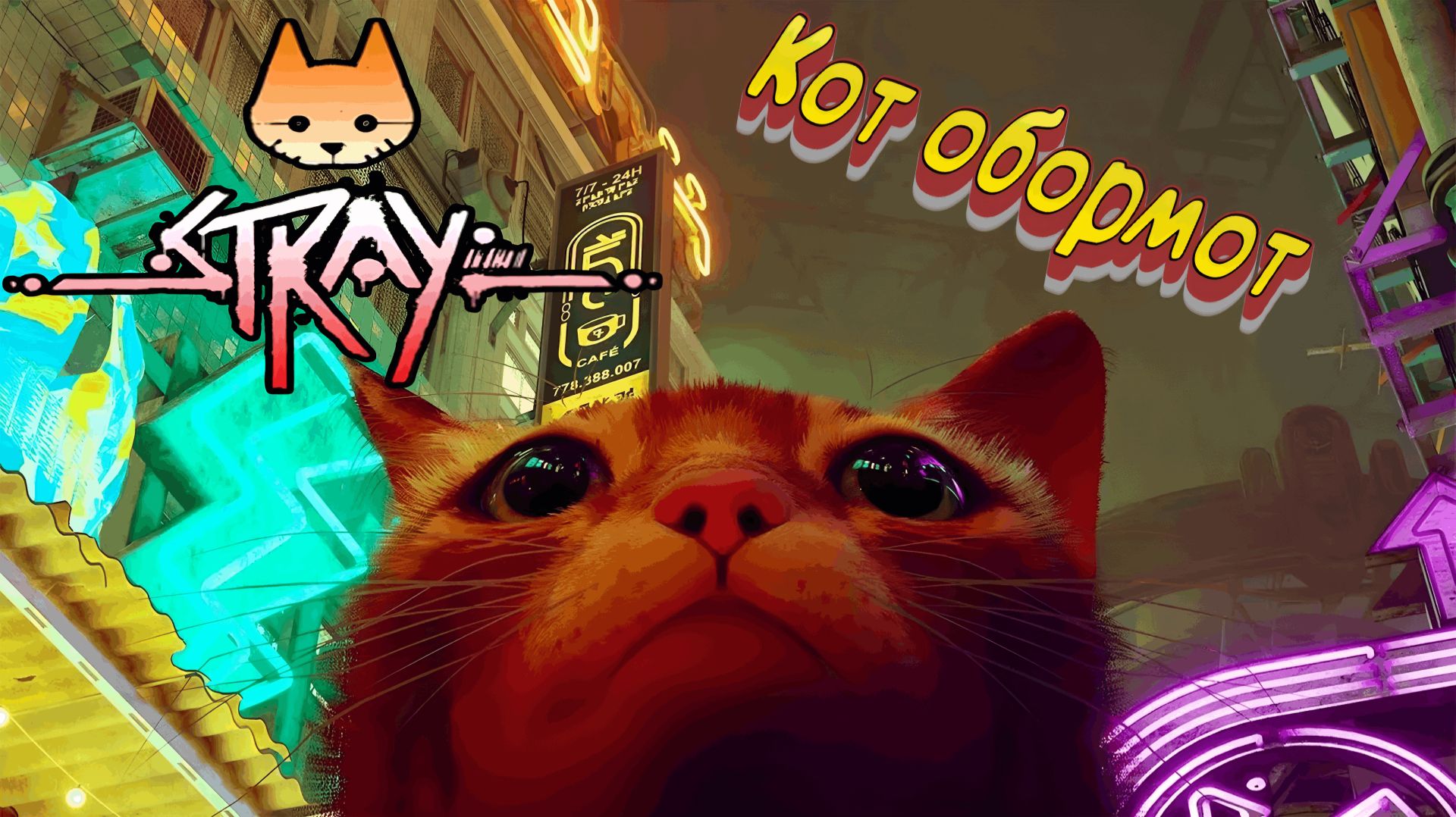 Стал котом Stray