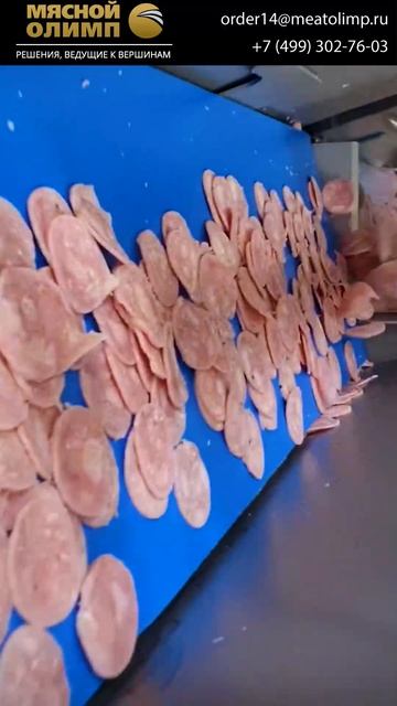 Как производят мясные чипсы? Как делают тонкие слайсы? Для заказа: +7(499)302-21-43
