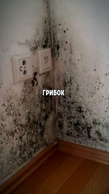 На чем нельзя экономить при строительстве