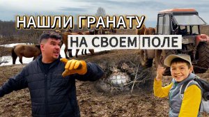 ВЫПУСТИЛИ ПАВЛИНОВ | НАШЛИ ГРАНАТУ | ВЫРОВНЯЛИ ПОЛЯ