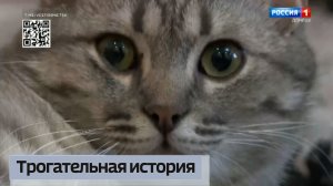 Трогательная история, которая объединила людей из разных уголков страны