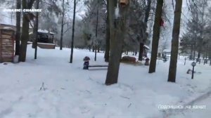 Новогодние праздники в гранд отеле Аристократ