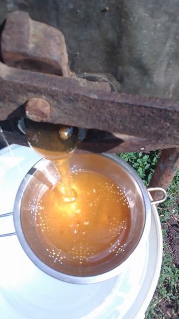 сладкая радость