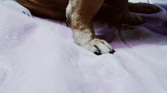 HwVideoEditor_2026_04_24_191458297.mp4