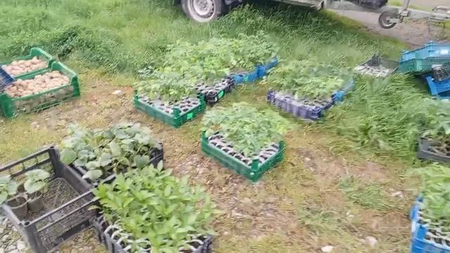 Моё утро.Распаковка