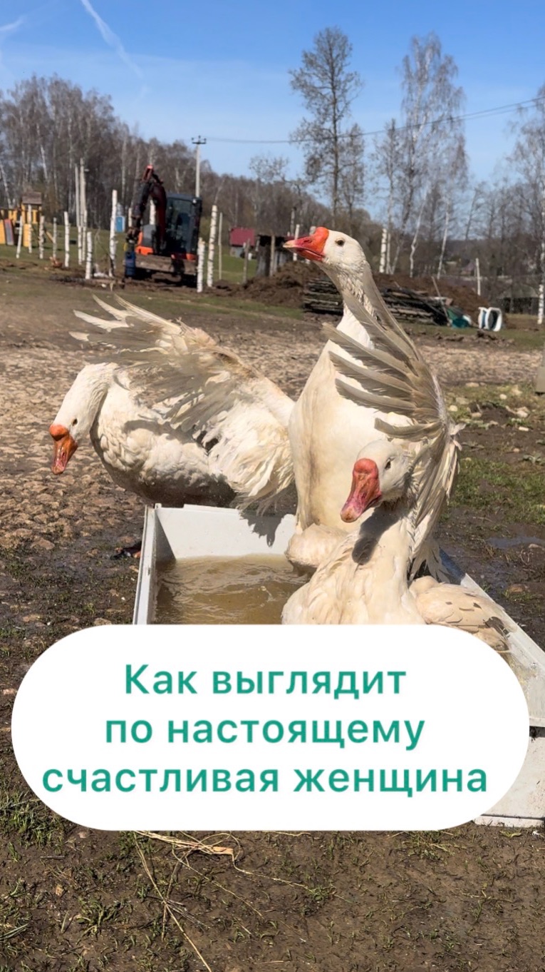 По-настоящему счастливая женщина выглядит так