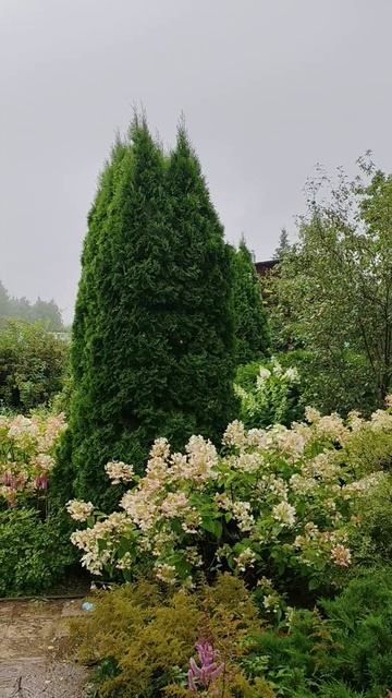 Озеленение. Ландшафтный дизайн | Анна Мер