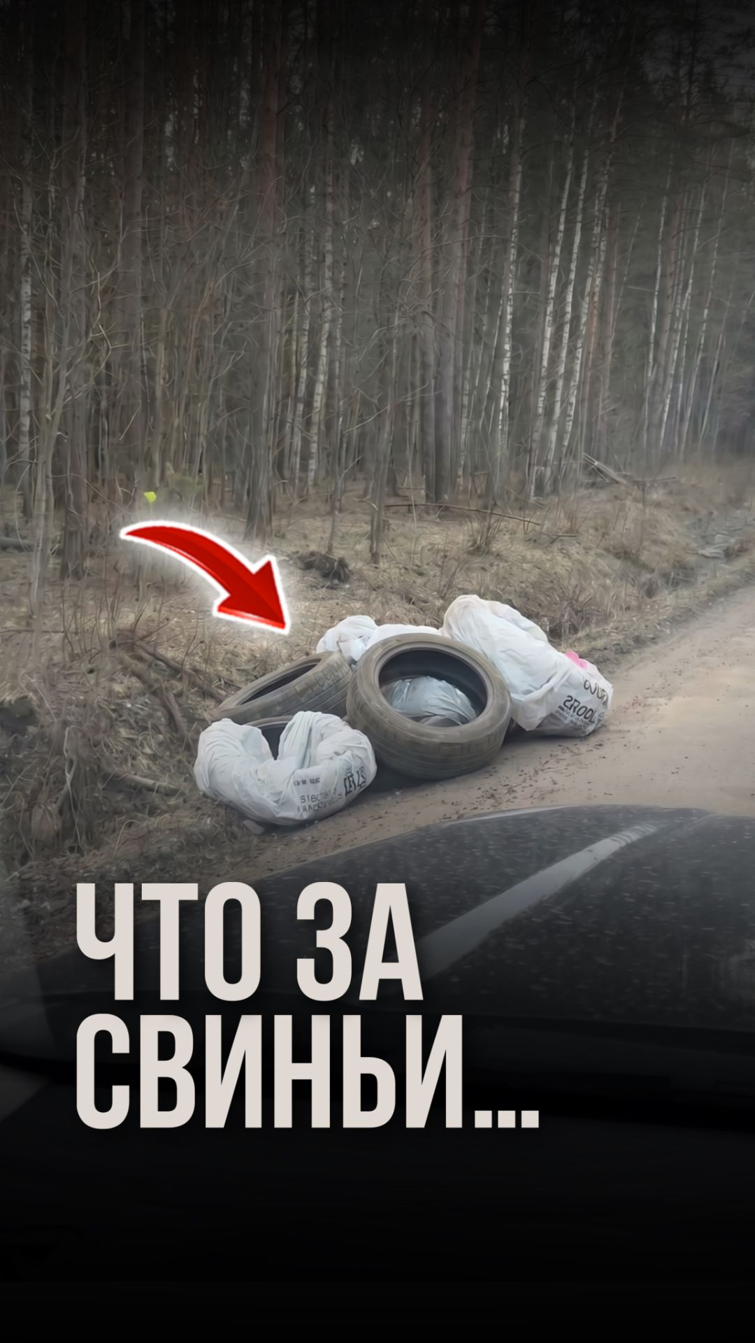 Что за свиньи...