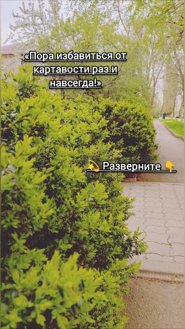 Найти логопеда онлайн записаться на занятия