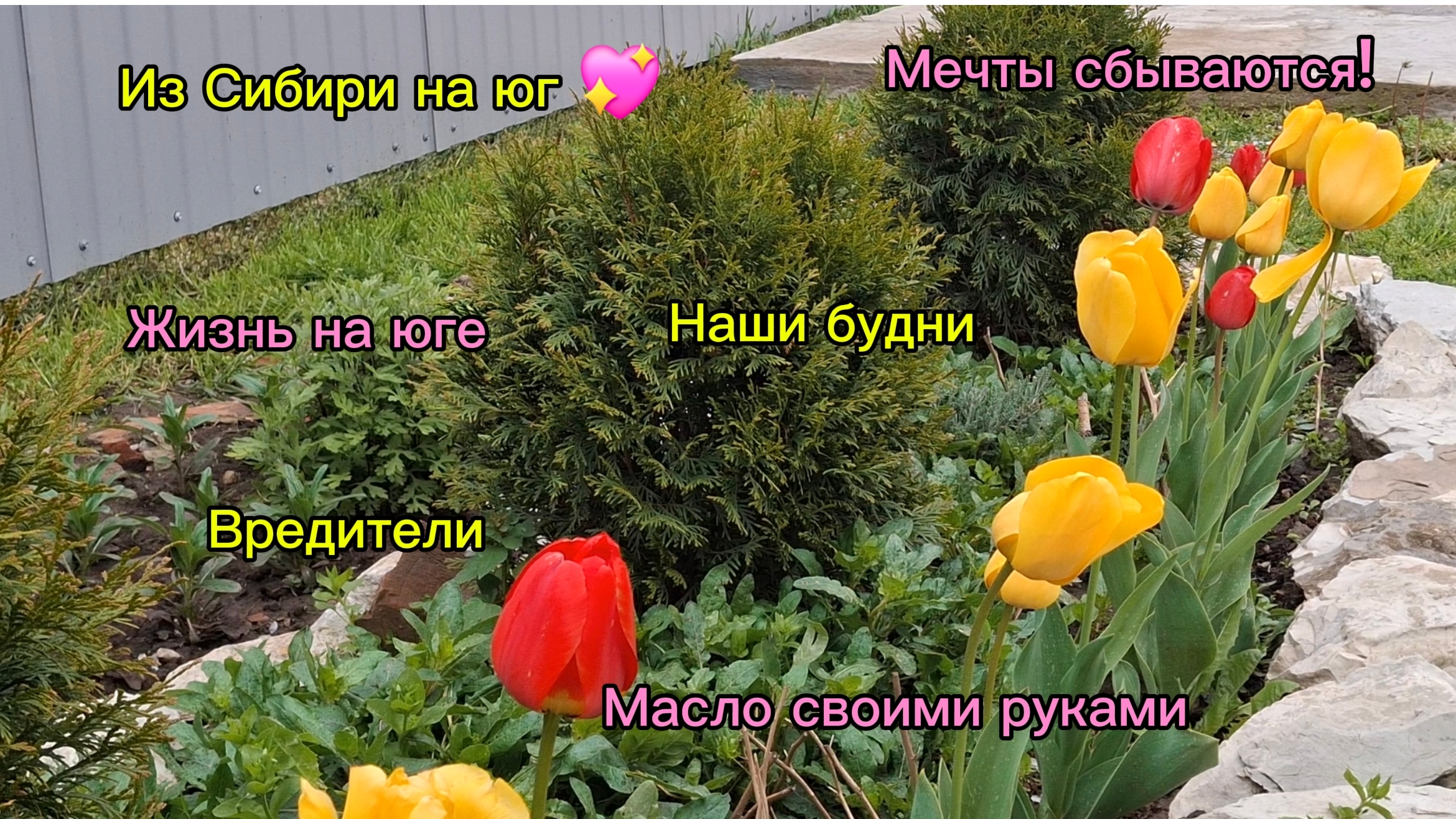 24-04-2026 Мечты сбываются/Из Сибири на юг/Жизнь на юге/Наши будни//Сливочное масло своими руками//