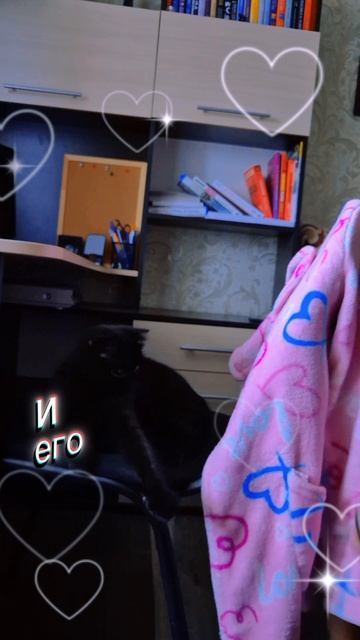 Никогда не сдавайся! Позорься до конца 😅