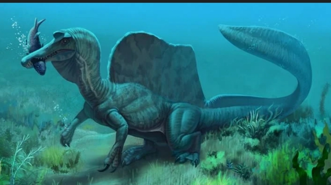 Долгожданное выживание за спино