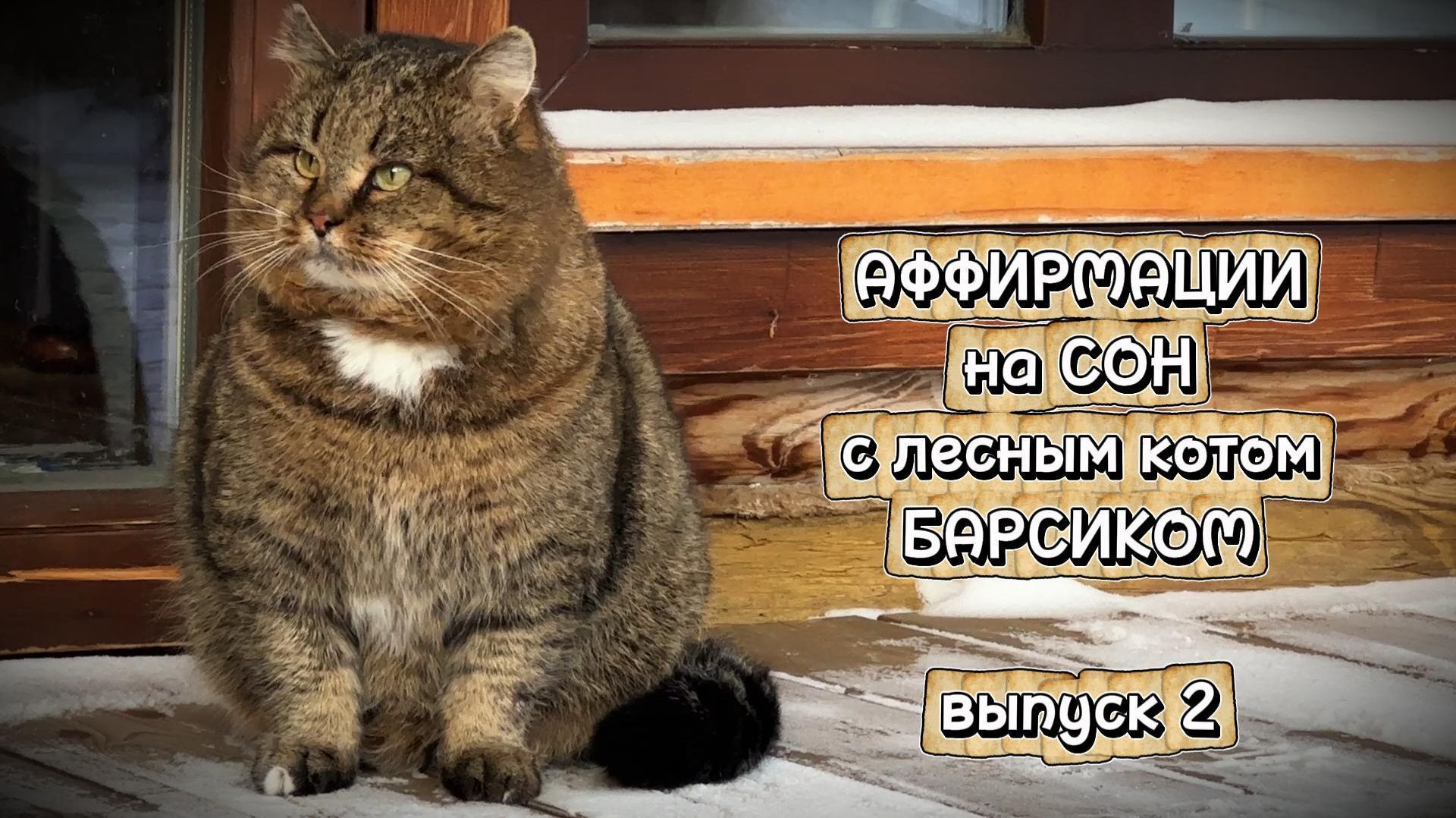 АФФИРМАЦИИ на СОН с Барсиком, выпуск 2