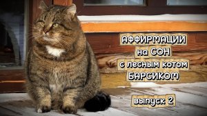 АФФИРМАЦИИ на СОН с Барсиком, выпуск 2