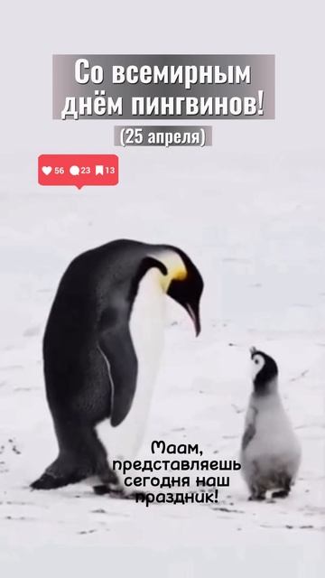 Чудо из жизни святого...