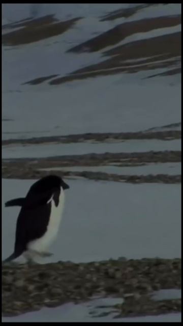 Готов к переменам?