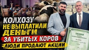 23 Апреля - Колхозу не выплатили деньги за убитых коров. Люди продают акции