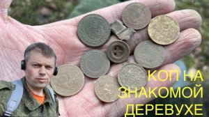 Коп на знакомой деревухе!