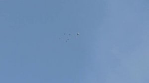 17.04.2026. Безкружные голуби, Чуманова Виталия. .mp4