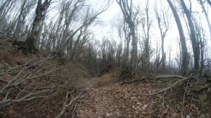 Бештау фото