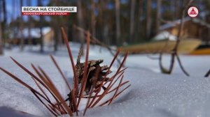 Без комментариев: Весна на стойбище