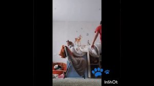 вот вам видосик 
(без логотипа я забыла пронего)