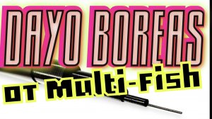 DAYO BOREAS POLE 7M
