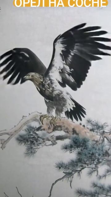 Орёл на сосне