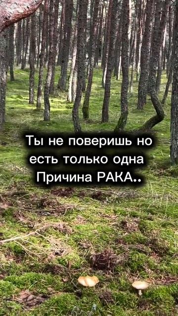 От чего бывает рак и метастазы #германскаяноваямедицина #психология #гнм #психосоматика #психолог