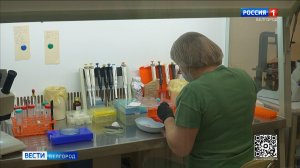 Белгородские ученые предложили новый способ защиты мозга новорожденных при гипоксии