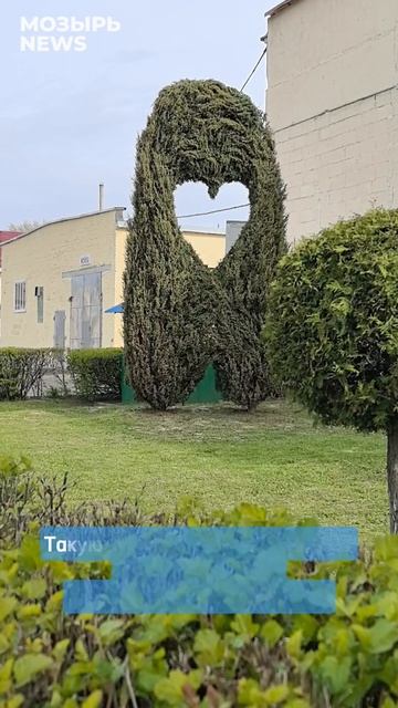 Такую красоту наши журналисты сегодня увидели на ОАО «Мозырьтехсервис»