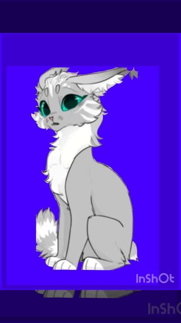 Я для колабов. Спасибо Пажа !