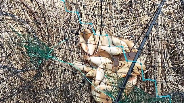 24 апреля 26 г.mp4