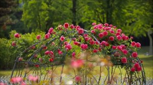 Врата открываются только 26 апреля. Главная тайна.