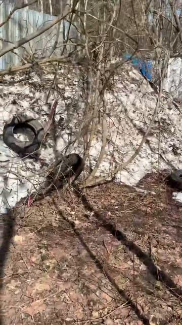 Шиномонтажа кустах ореховозуево подмосковье russia россия лайфхаки лайфхак лайк россия24