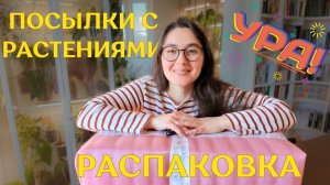 ТАК ждала ЭТИ РАСТЕНИЯ | РАСПАКОВКА красивых и ОЧЕНЬ ЖЕЛАННЫХ растений ✨