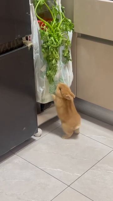 video_2026-03-03_10-06-44