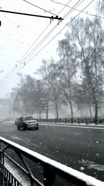 В Новосибирск пришел снегопад