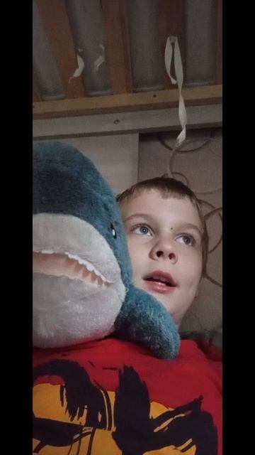 простите что давно не было видео