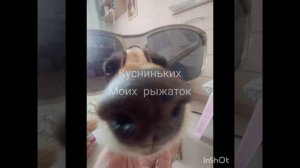 простите что конец такой долгий