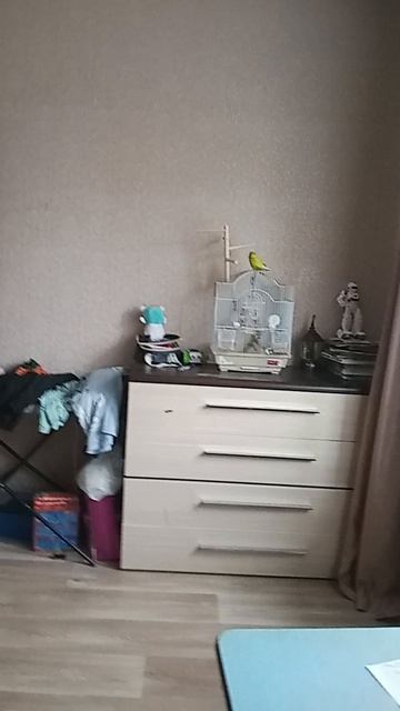 петрушка летает 1