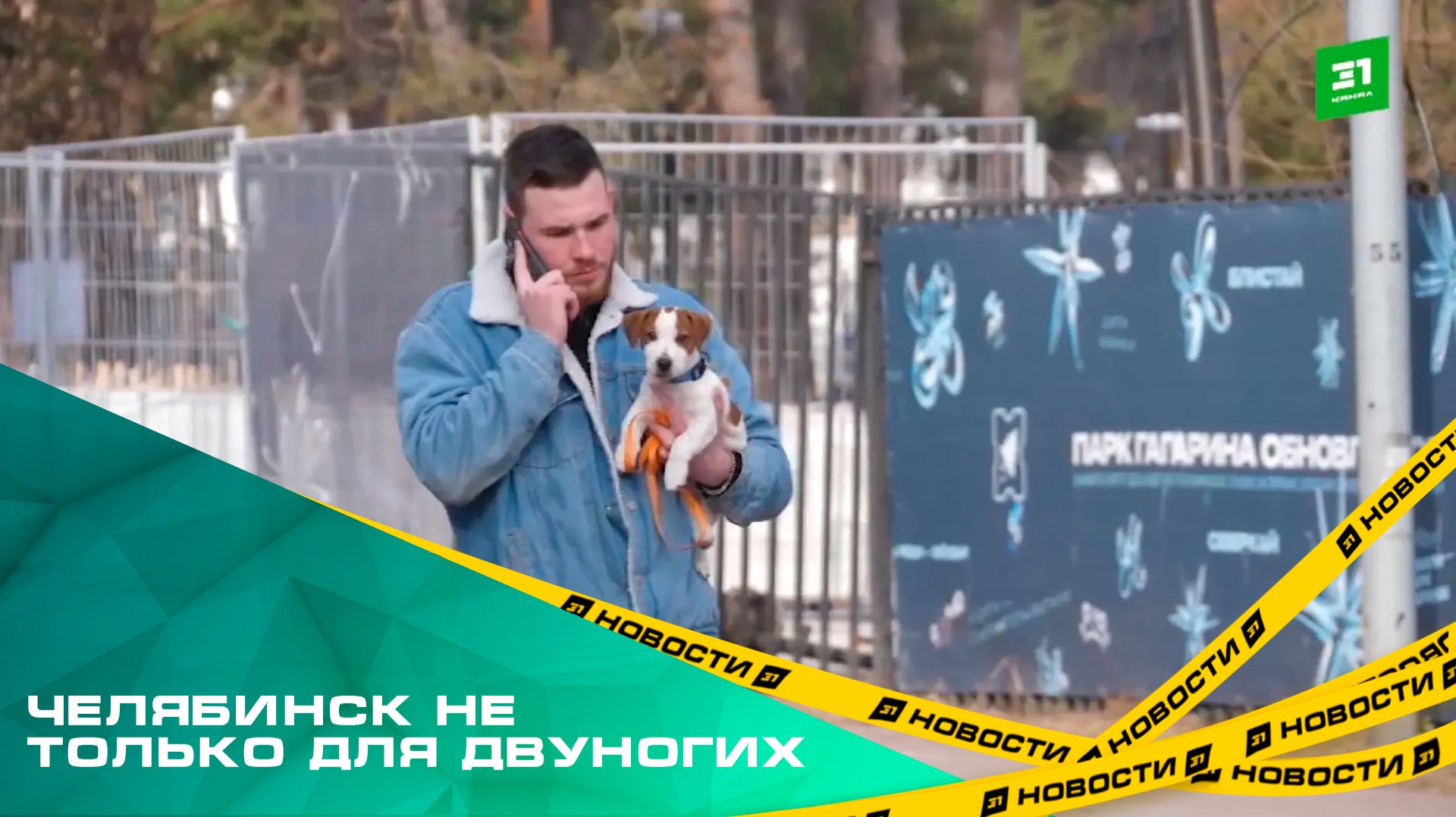 Челябинск не только для двуногих. Насколько Южный Урал стал пет-френдли?