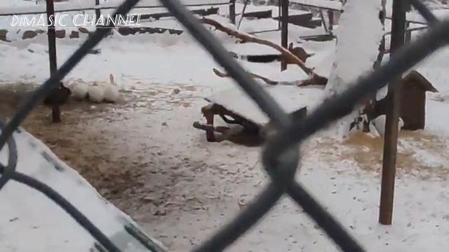 поездка в ЭКО отель Кантри Хоум Ивановской области и не только