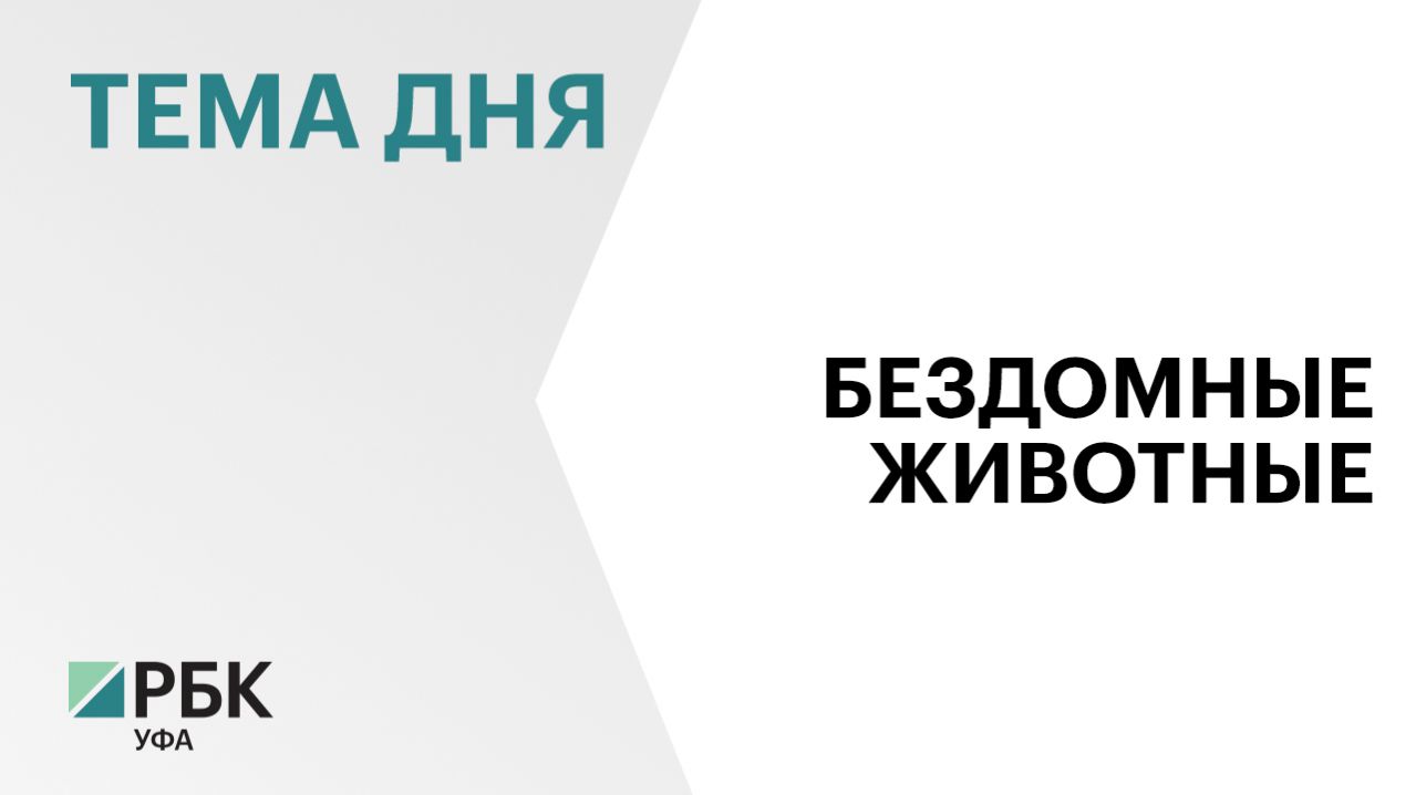 На ₽60 млн вырастут субвенции на отлов и содержание бездомных животных в Башкортостане