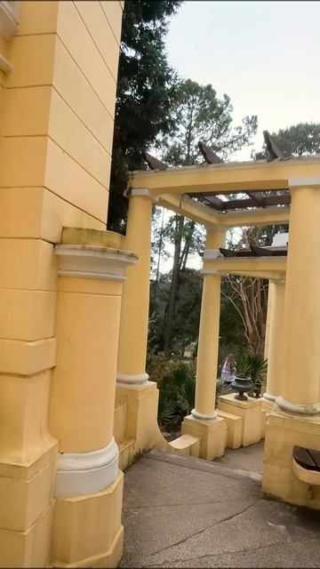 Дендрологический парк федерального значения Дендрарий и вилла Надежда  #Сочи #Mountains #Горы