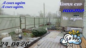 24 апреля 26 год  Снег , снег, снег....ну где весна? Песни в этом году исполнилось  65 лет