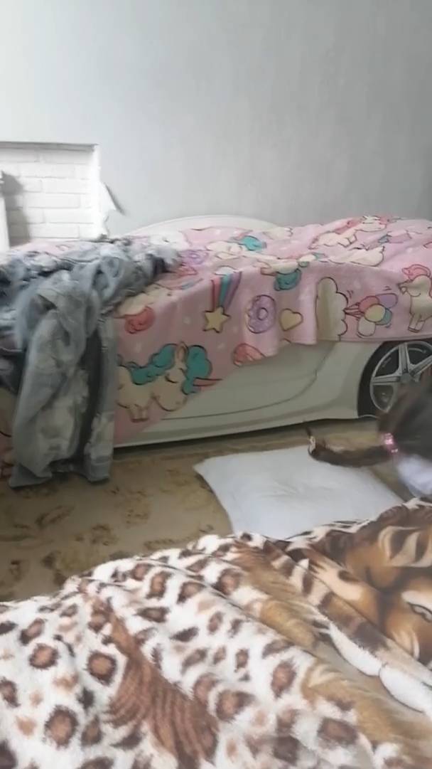 VID_20260424_151605.mp4