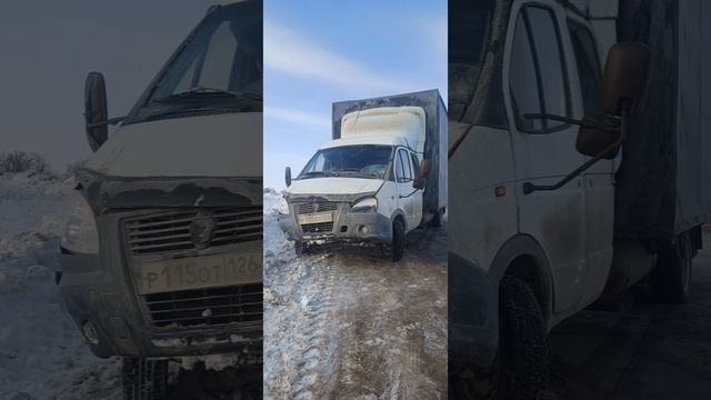 жизнь газелиста