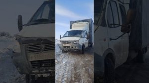 жизнь газелиста